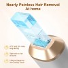 OEM 510K IPL Portable Beauty Laser Epilator Permanent Home Use