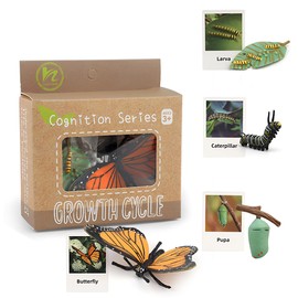 ​Montessori Life Cycle Learning - Montessori Life Cycle Animal Figures with Flash Cards, Plastic Insects Monarch Butterfly Kit Caterpillar Toy for Kids, Realistic Animal Figurines (Butterfly)