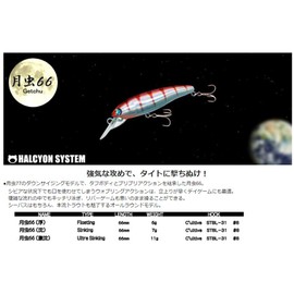Halcyon System Moonworm 66, Super Sinking #48 DOJYOU