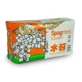besgrow Premium New Zealand Sphagnum Moss, 150g (12L When Hydrated) Premier AAA Grade (150mm, 6" Strands) - Harvested in New Zealand's South Island, Dried and Long for Potted Plants, Orchids, Reptiles