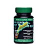 T-Rex Day Gecko Diet Super Food
