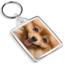 Pomeranian Face Keyring - IP02 - Cute Fluffy Dog Chihuahua Puppy 8660