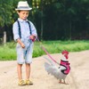6 Pcs Adjustable Chicken Harness with Leash and Chicken Hats