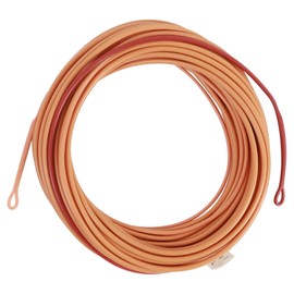 MAXIMUMCATCH Skagit Shooting Head Fly Line 200GR-650GR 17FT-29FT with 2 Welded Loops (Honey/Brown, 20FT 350GR)
