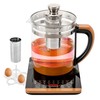 JAYGOVAN Health Pot Electric Kettle Tea Maker with Tea Infuser
