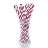 Red Candy Cane Stripe Christmas Straws - 25 Pack –