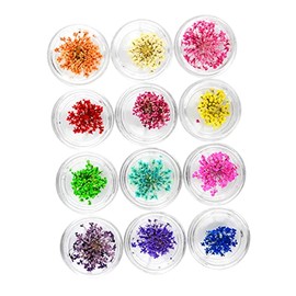 minkissy Nail Art Supplies Dried Flower Nail Art Stickers for Professional or Home Use