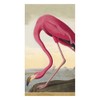 Caspari Audubon Birds Paper Guest Towel Napkins, Two Packs of