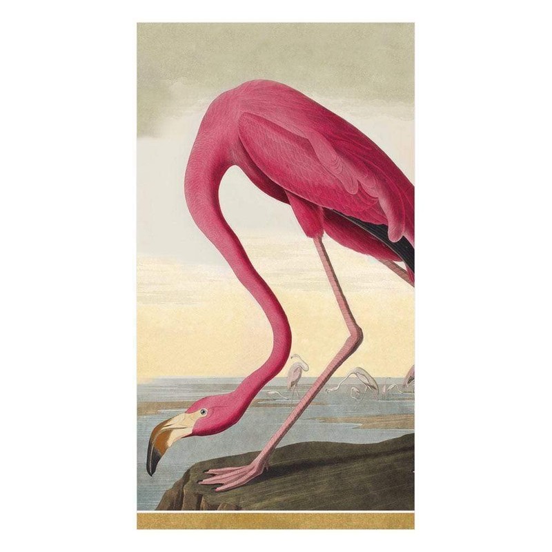 Caspari Audubon Birds Paper Guest Towel Napkins, Two Packs of