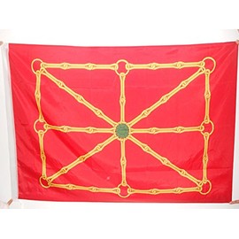 AZ FLAG Navarre Independentist Flag 3' x 5' for a Pole - Navarra Nationalist Flags 90 x 150 cm - Banner 3x5 ft with Hole