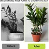 Climbing Houseplant Stem Supports,4Pcs Clear Plastic Flower Plant Growth Stake