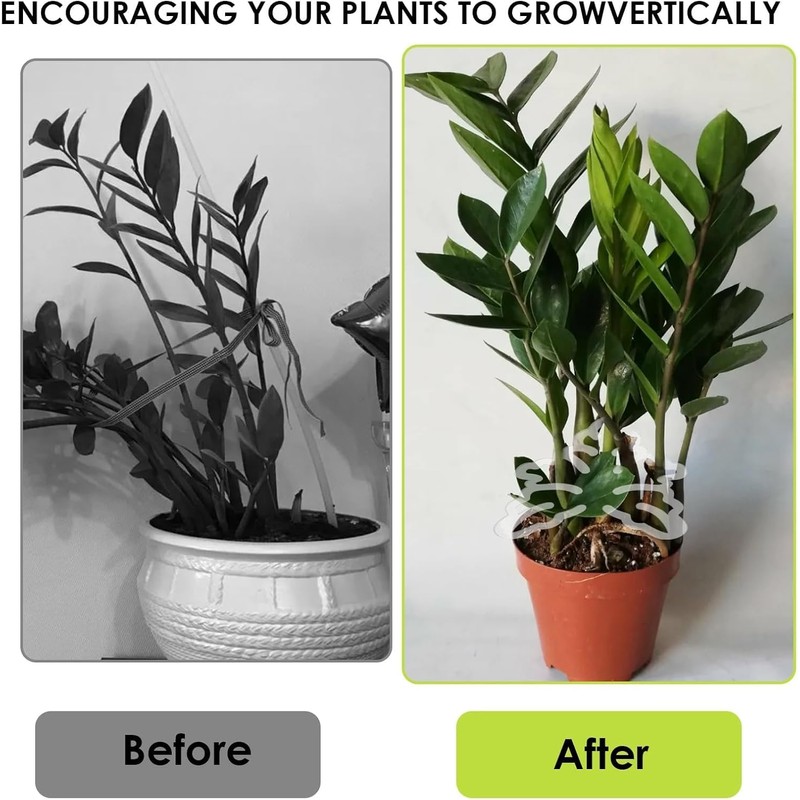 Climbing Houseplant Stem Supports,4Pcs Clear Plastic Flower Plant Growth Stake