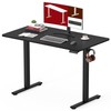 SANODESK Electric Standing Desk 40 x 24 Inches Whole-Piece Desktop