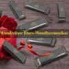 Eastrock Harmonica Set with 7 Buttons 10 Hole Key C