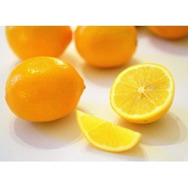 Meyer Lemon (5 Seeds)