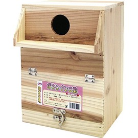 natyurarupettohu-zu Excel Button Parrot Nest