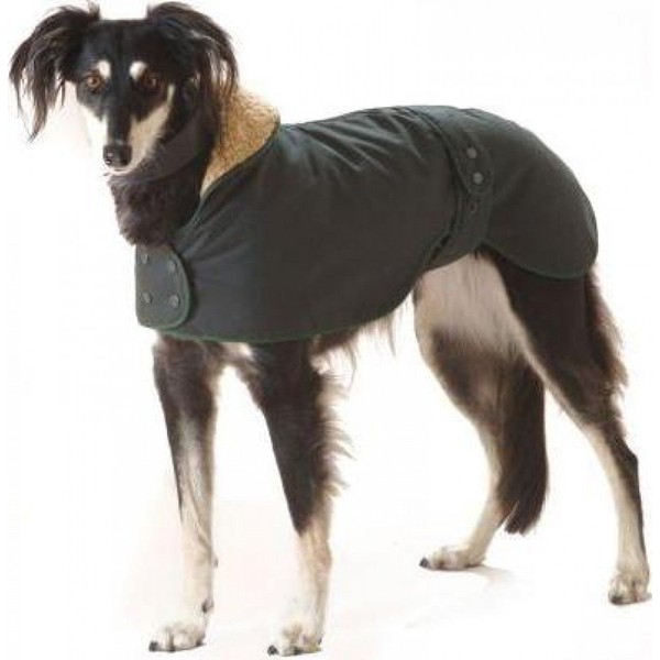 Greyhound Hunter Wax Coat - Dark Green - 60cm/24"