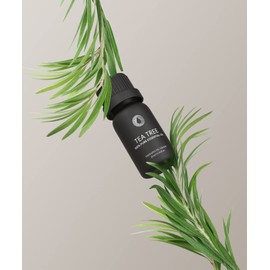 Bursera Tea Tree Essential Oil, Tree Planted with Every Order, 100% Pure Australian Tea Tree Oil, 10ml Undiluted High Grade Natural Tea Tree Oils for Diffuser, Shower, Skin and Aromatherapy