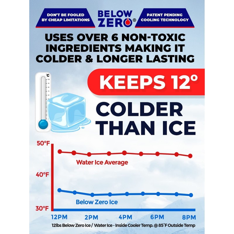 Below Zero Large Reusable Ice Packs for Coolers – Long