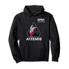 NASA Artemis II Mission Patch Worm Logo Pullover Hoodie