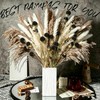 30Pcs Natural Black Dried Craspedia Billy Balls, Boho Dried Thistle
