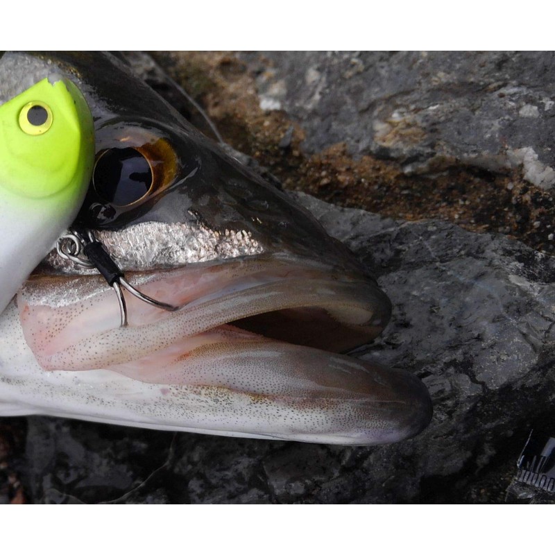 Gamakatsu Treble Hook Rose Twin RB-M Silver Limited