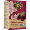 Nature's Path Frosted Toaster Pastry - Cherry Pomegranate - 11