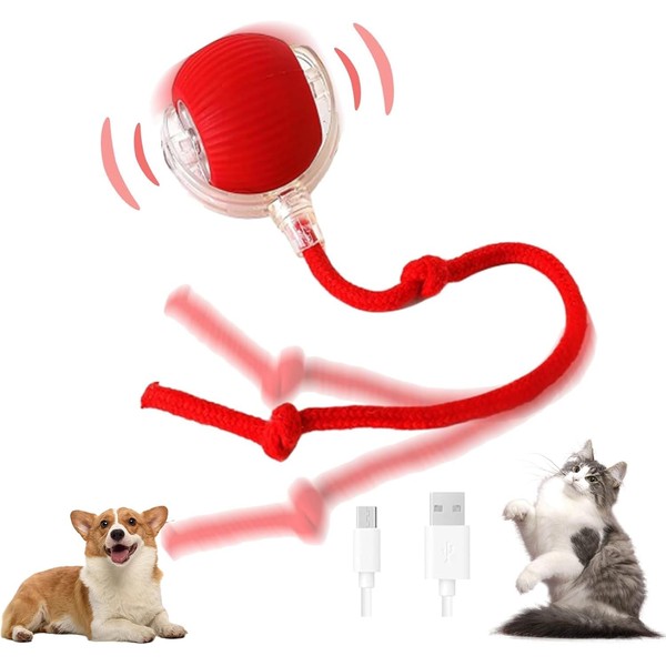 XUDUOO Interactive Cat Toys for Indoor Cats, Automatic Cat Toy
