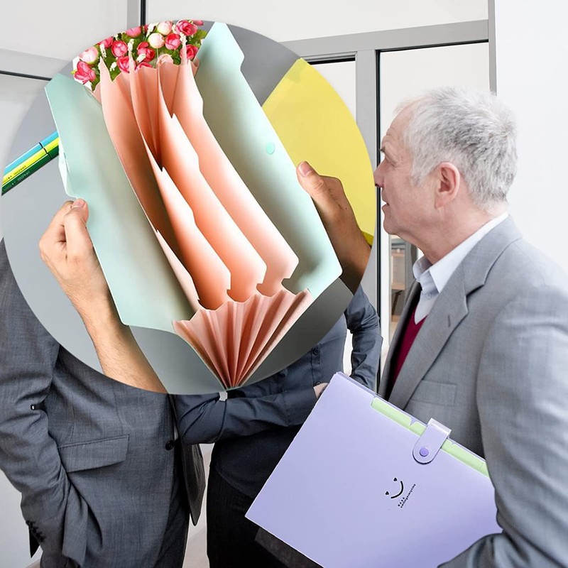 3 Pack Expanding File Folder，A4 Important Document Organiser，Expanding File Organiser