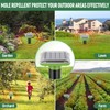 HiAnifri Ultrasonic Mole Repellent Outdoor, Solar-Powered Gopher Mole Repellent for