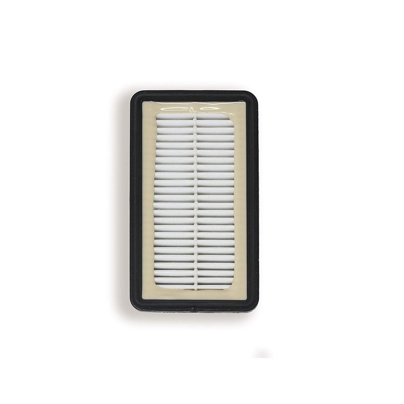 Lemige 2 + 2 Pack 1008 Vacuum Filters for Bissell