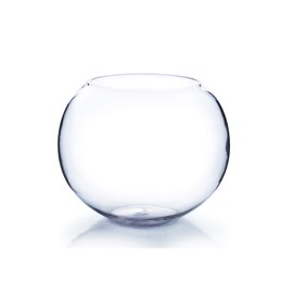 WGV Large Bowl Glass Vase, Diameter 12", Height 10", (Multiple Sizes Choices) Clear Round Bubble Vase Jar, Floral Planter Terrarium for Wedding Event Home Decor, 1 Piece (VBW1210)