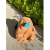 ChalkMate Capybara Snore Chalk Bag