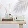Northern Lights Windward Reed Diffuser, Seagrass and Aloe