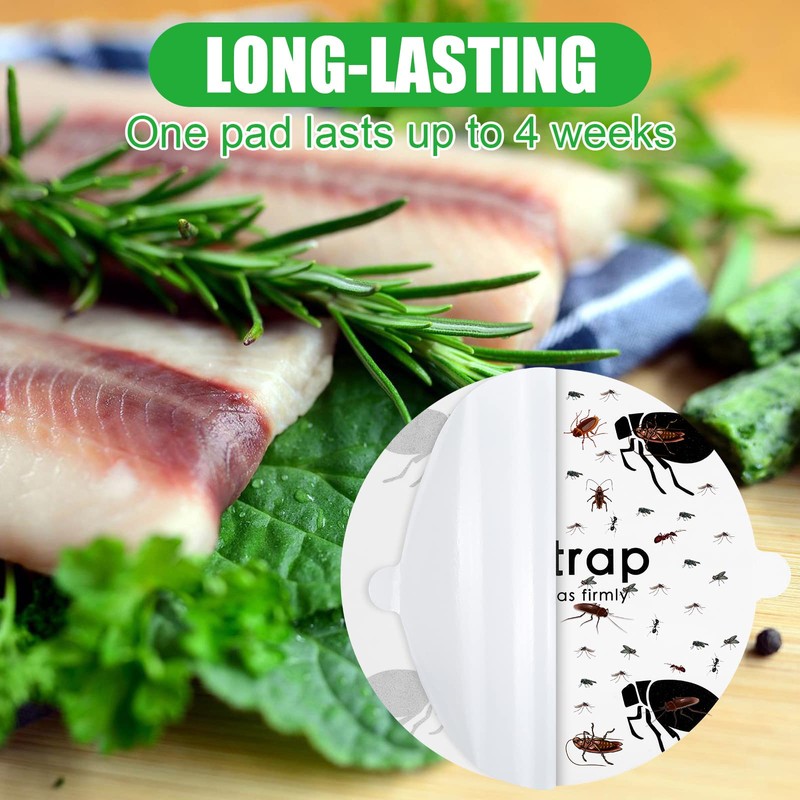 Flea Trap Refill Discs Sticky Fly Trap Refill Glue Board
