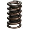 Elgin Industries RV-1943X 1.25" Claimer Valve Spring