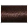 Garnier Nutrisse Permanent Hair Colour 5.25 Frosted Chestnut