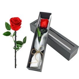 Bacucine Preserved Flowers Gifts for Women Forever Flower Eternal Rose Birthday Gifts for Wife Grandma Valentines Day Gifts for Her Girlfriend