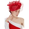 BABEYOND Women's Pillbox Fascinator Hat Kentucky Hat Feather Derby Fascinator