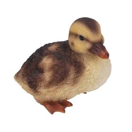 Vivid Arts Ltd Squatting Duckling