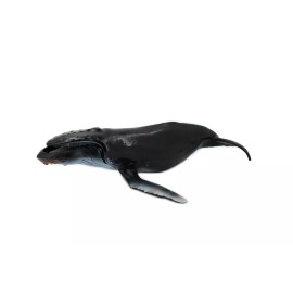 Deshen Du Humpback Whale, Hand Painted, Realistic Toy Figure, Model, 11" CH159 BB110