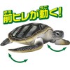 アニア AS-20 アオウミガメ