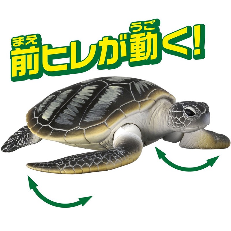 アニア AS-20 アオウミガメ