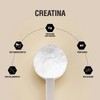 Padn Nutrition Creatina Monohidratada Polvo 300g Sabor Sin sabor