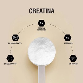 Padn Nutrition Creatina Monohidratada Polvo 300g Sabor Sin sabor