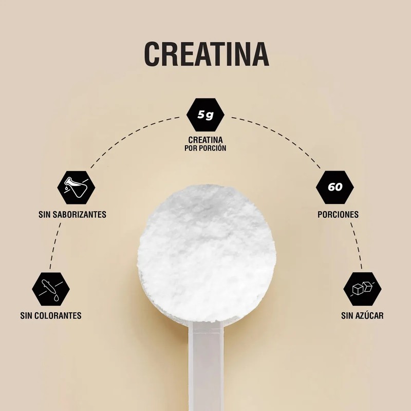 Padn Nutrition Creatina Monohidratada Polvo 300g Sabor Sin sabor