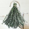Koceko 36 Pcs Dried Eucalyptus for Shower Hanging - 17''