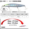 DAIWA Sea Bass Minnow Shoreline Shiner Z Vertis R 125F
