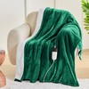 greenoak Heated Blanket Electric Throw 50"X60", Heating Blanket with 10