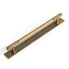 Goo-Ki Antique Brass Zinc Alloy Cabinet Handle with Backplate -